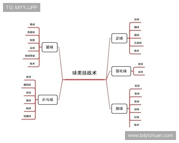 北京排球队快攻战术解析与深度剖析排球竞技的魅力与挑战 北京排球队快攻战术解析与深度剖析排球竞技的魅力与挑战