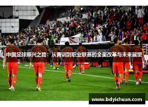 中国足球振兴之路：从青训到职业联赛的全面改革与未来展望