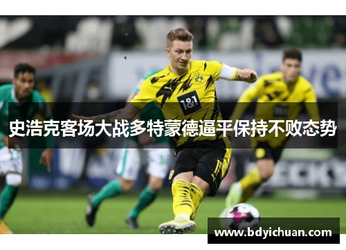史浩克客场大战多特蒙德逼平保持不败态势