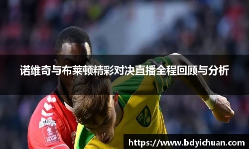 333体育诺维奇与布莱顿精彩对决直播全程回顾与分析